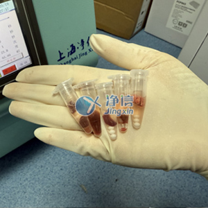 冷凍研磨儀對小鼠組織部位研磨實驗案例