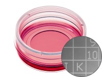 易必迪ibidi 細胞定位格子培養(yǎng)皿μ-Dish 35 mm high， glass bottom Grid-500