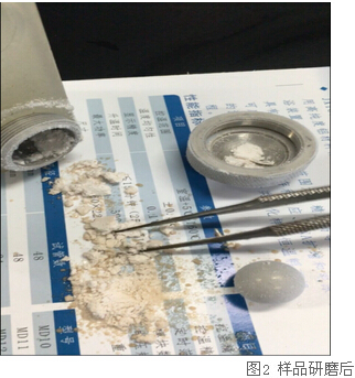 冷凍研磨儀研究告訴你-海虹體內(nèi)的營養(yǎng)價(jià)值及藥用價(jià)值有那些？