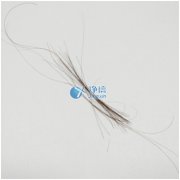 上海凈信研磨頭發(fā)樣品新突破！快速鑒定疑犯是否吸毒